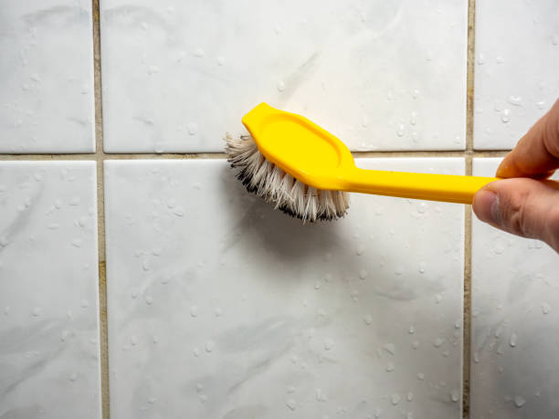 Best Mold Damage Repair  in Snowmass Village, CO