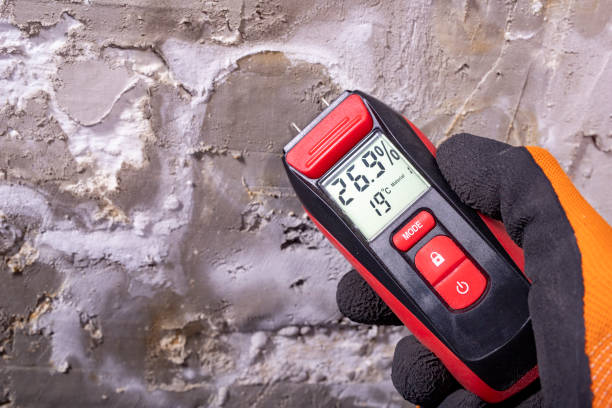 Best Attic Mold Removal  in Snowmass Village, CO